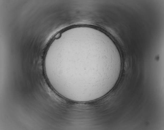 X0000116661356200912291629