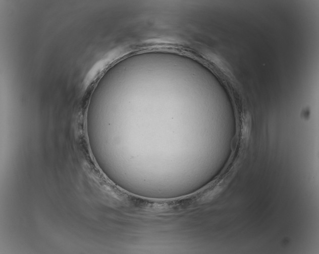 X0000116661357200912291629