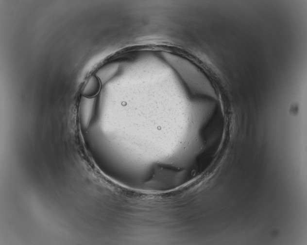 X0000116661358200912291629