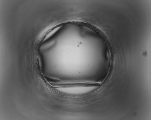 X0000116661359200912291629