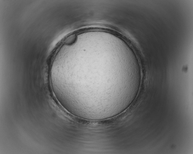 X0000116661360200912291629