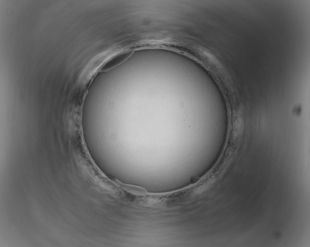 X0000116661361200912291628