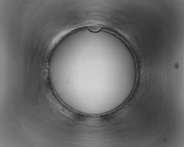 X0000116661363200912291628