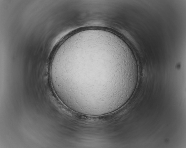 X0000116661364200912291628