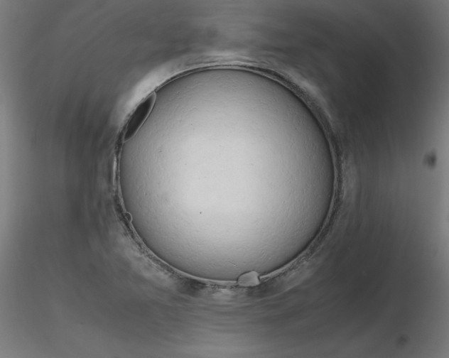 X0000116661365200912291628