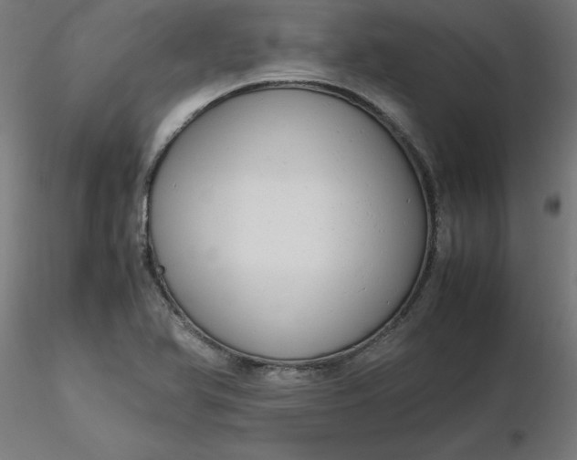 X0000116661366200912291628