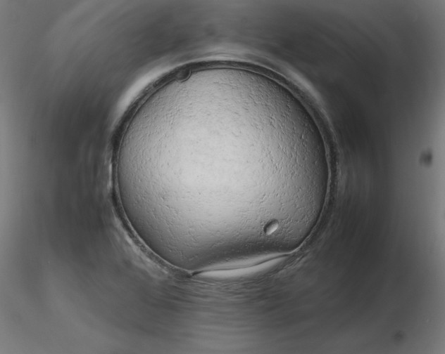 X0000116661368200912291628