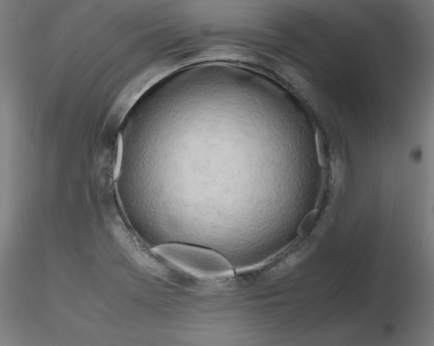 X0000116661369200912291628