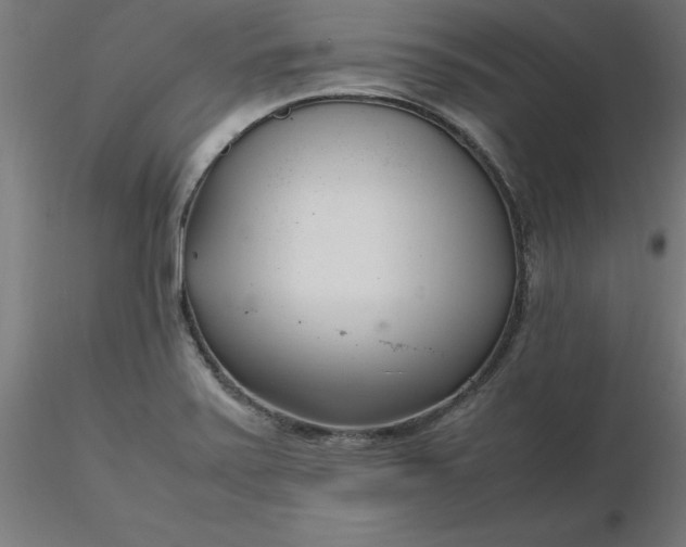 X0000116661371200912291628