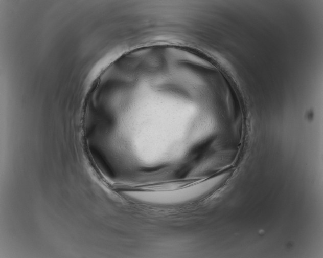 X0000116661373200912291628