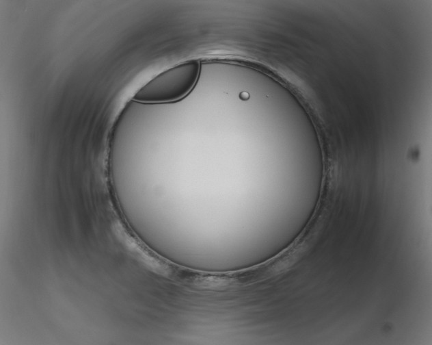 X0000116661374200912291628