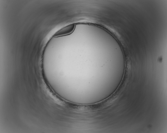 X0000116661375200912291628