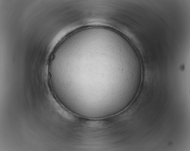 X0000116661376200912291628