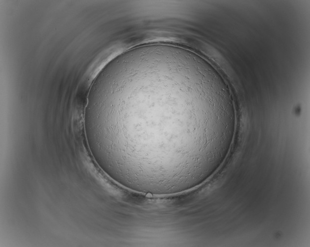 X0000116661377200912291628