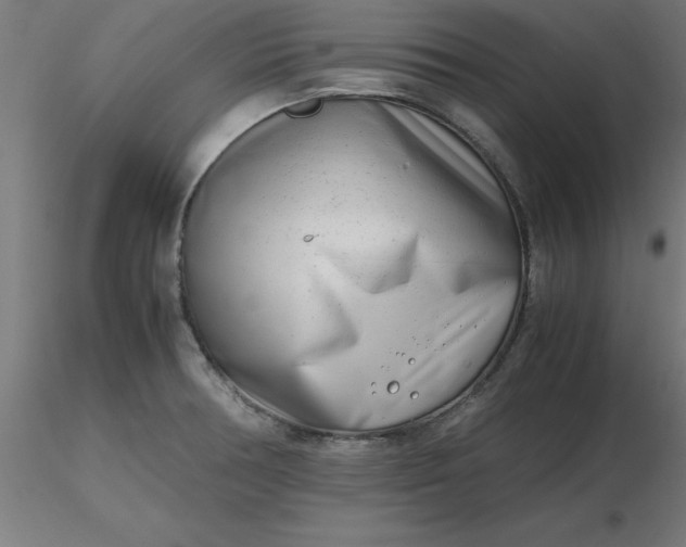 X0000116661378200912291628