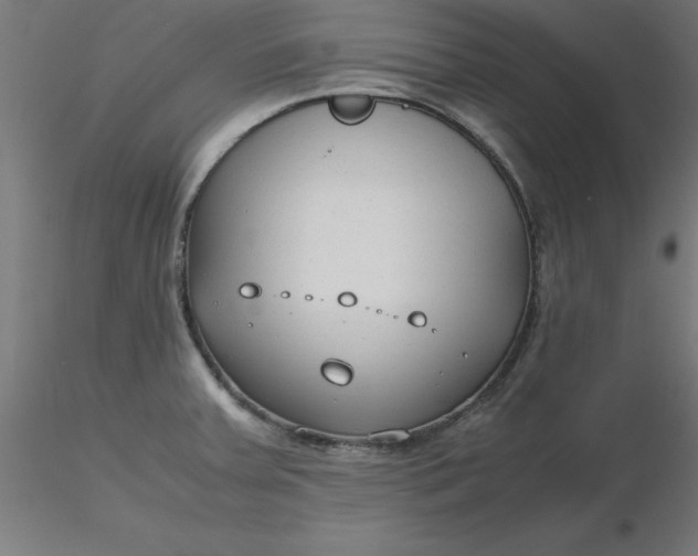 X0000116661379200912291628