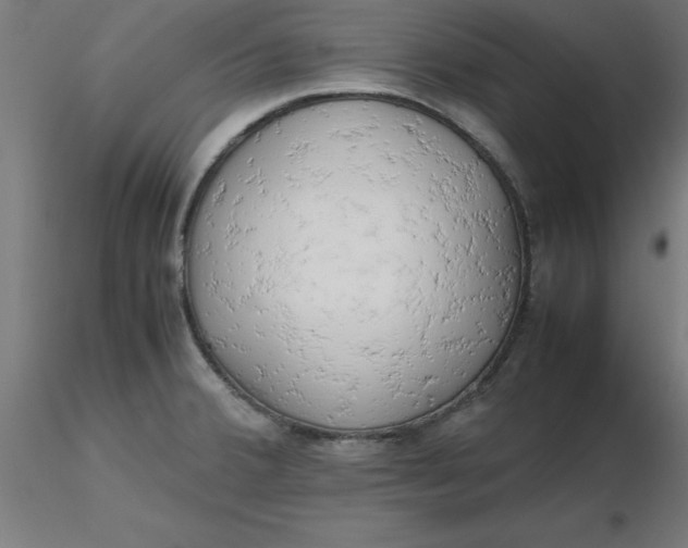 X0000116661380200912291628