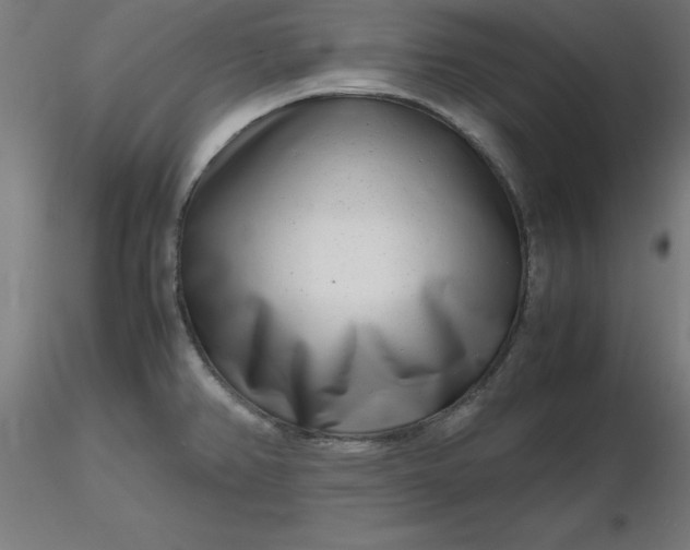 X0000116661382200912291628