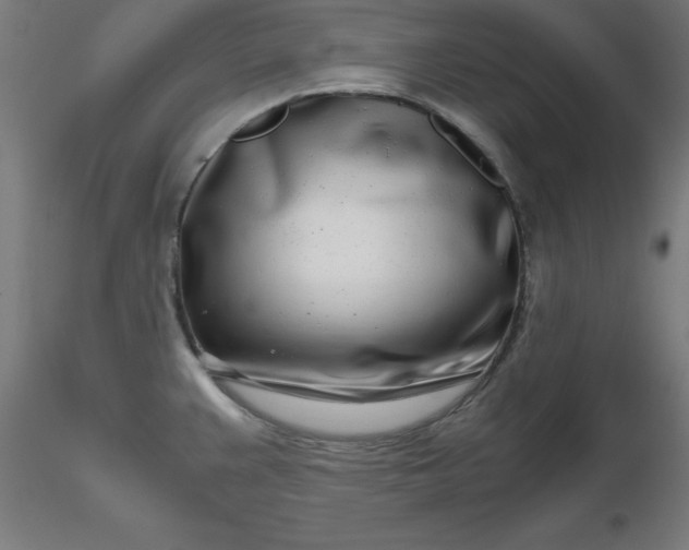 X0000116661383200912291628