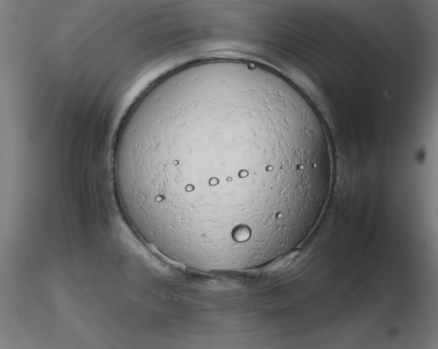 X0000116661384200912291628