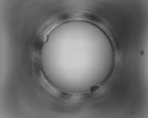 X0000116661385200912291628