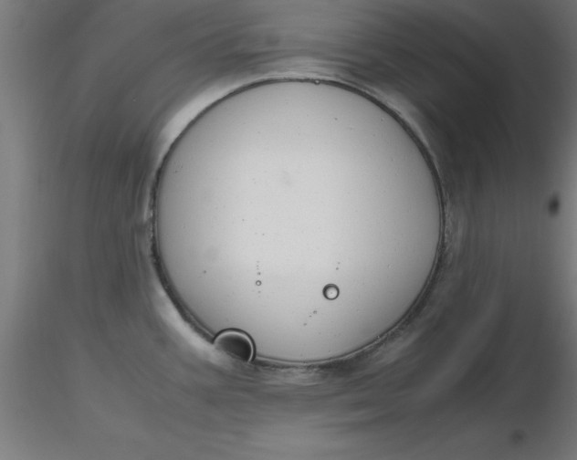 X0000116661387200912291628