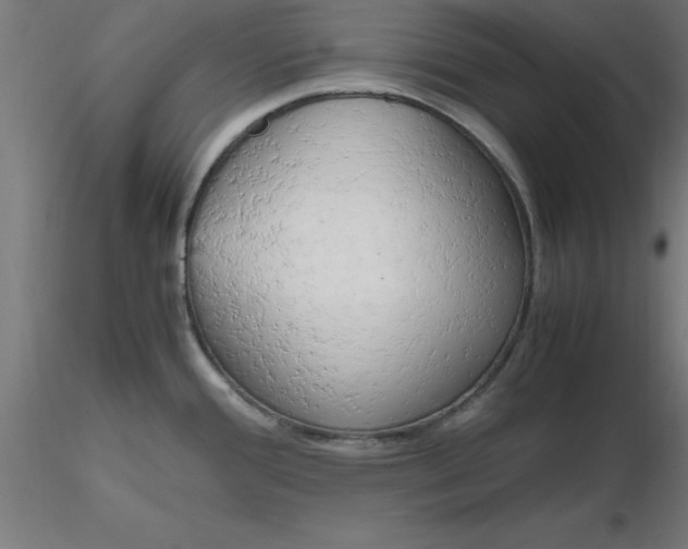 X0000116661388200912291628