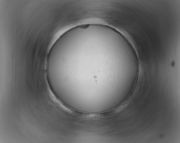 X0000116661390200912291628