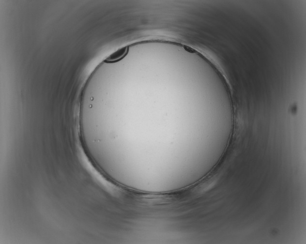 X0000116661391200912291628