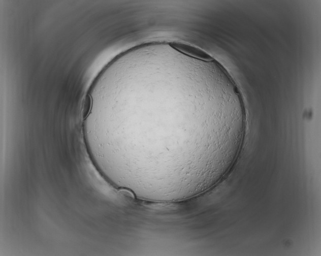 X0000116661392200912291628