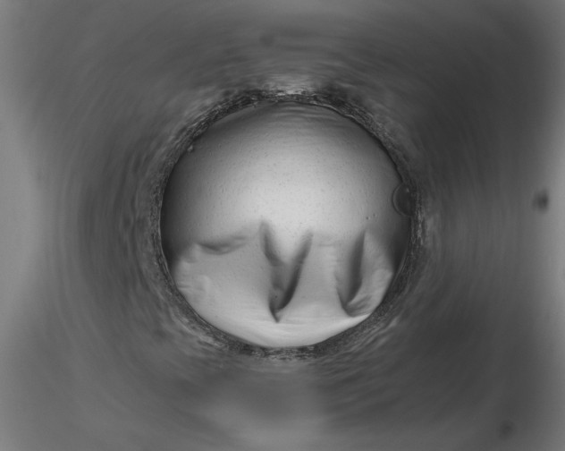 X0000116661393200912291627