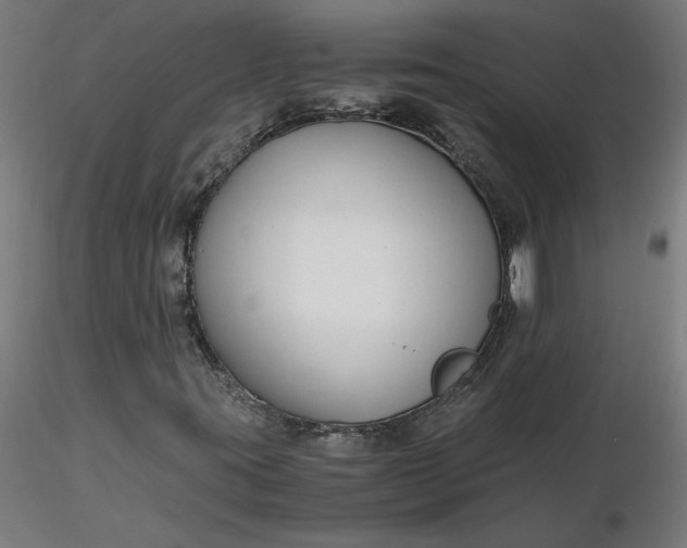 X0000116661395200912291627