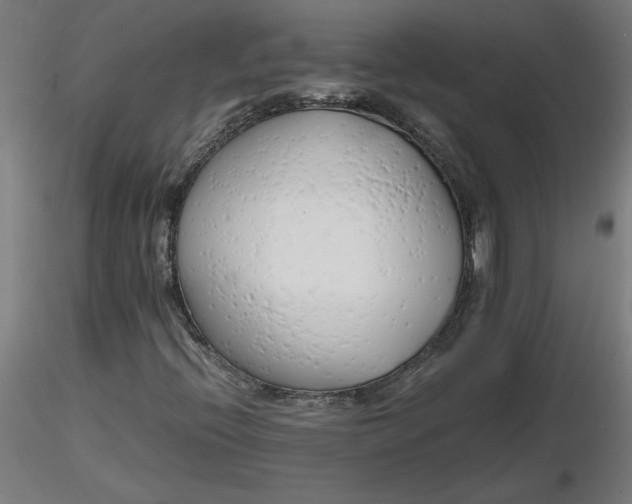 X0000116661396200912291627