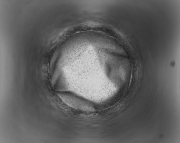 X0000116661397200912291627