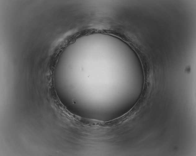 X0000116661398200912291627