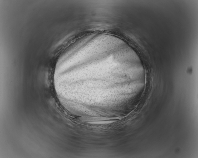 X0000116661399200912291627