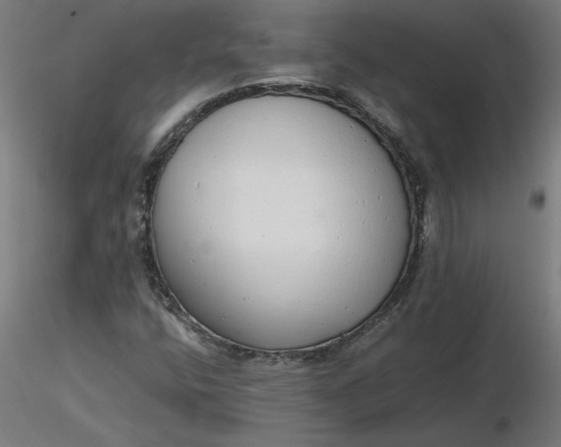 X0000116661400200912291628