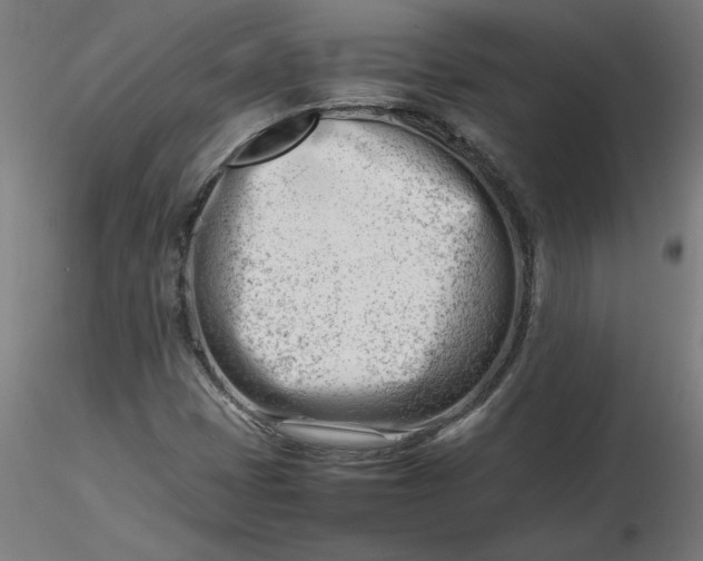 X0000116661401200912291628