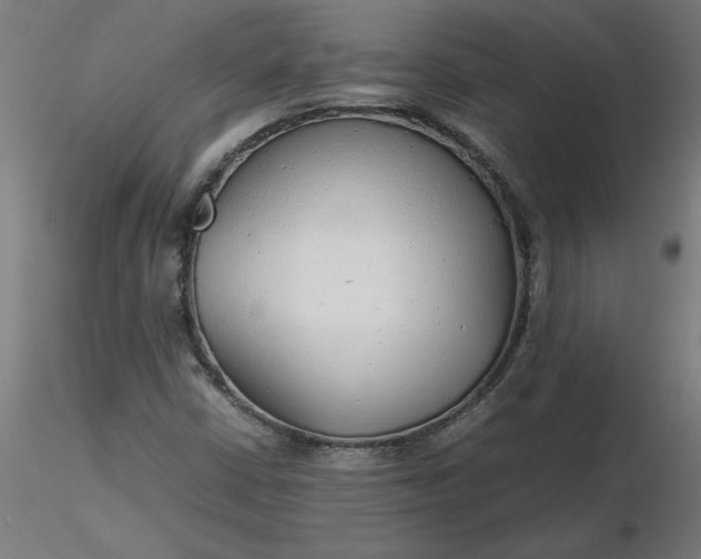 X0000116661402200912291628