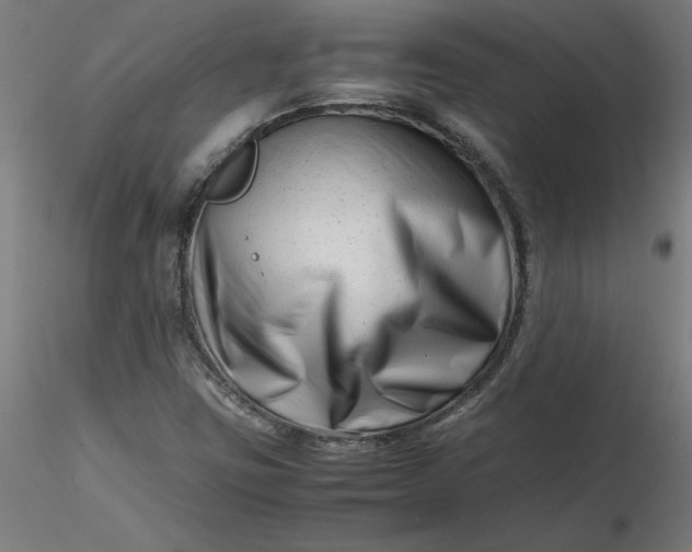 X0000116661403200912291628