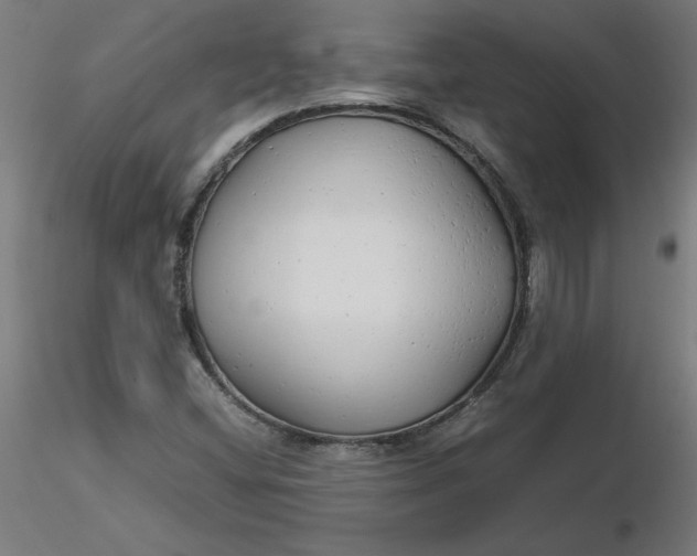 X0000116661404200912291628