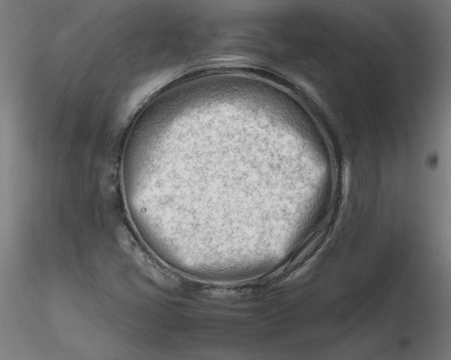 X0000116661405200912291628