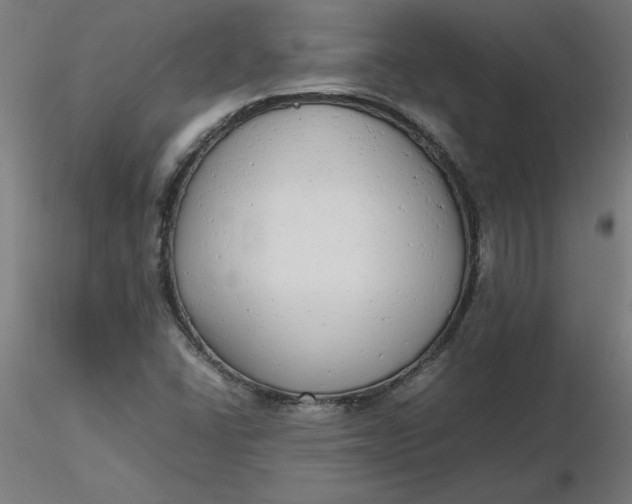 X0000116661406200912291628