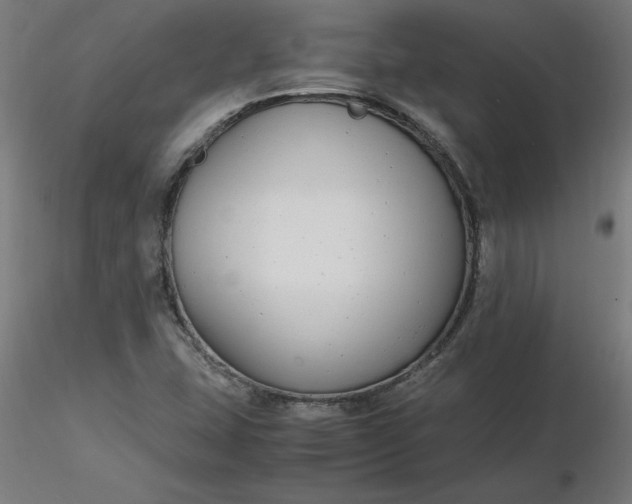 X0000116661407200912291628