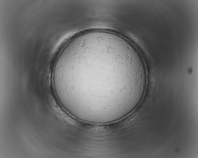 X0000116661408200912291628