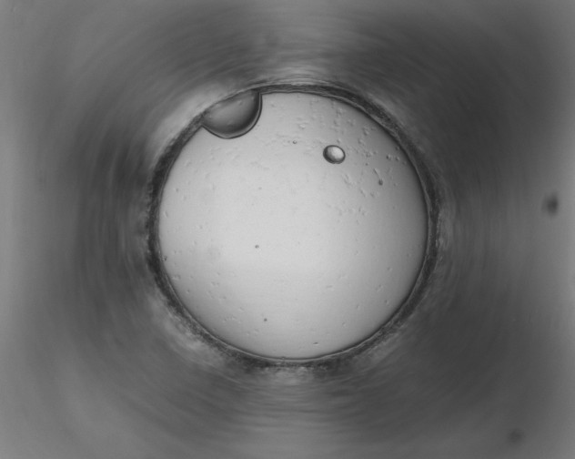 X0000116661410200912291628