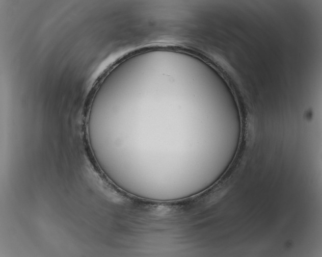 X0000116661412200912291628