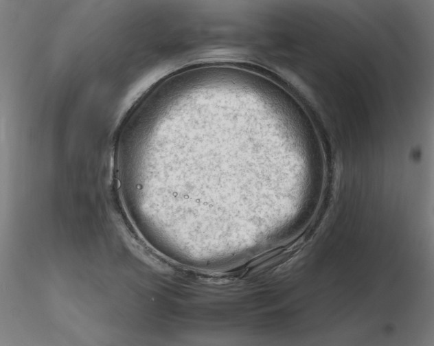 X0000116661413200912291628