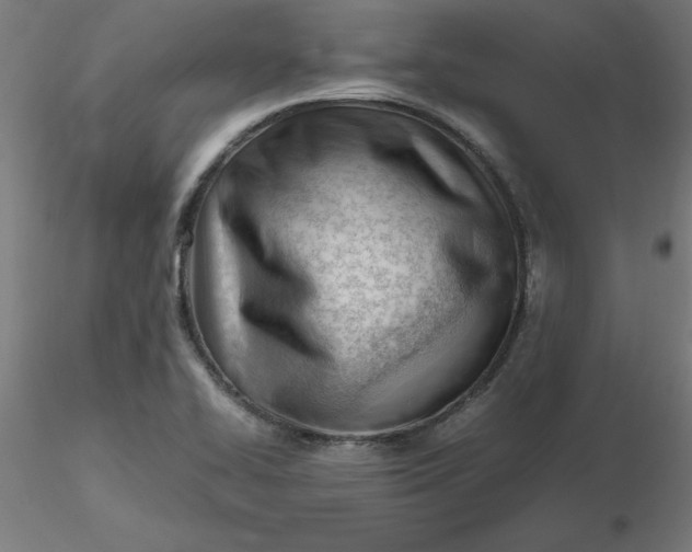 X0000116661414200912291628