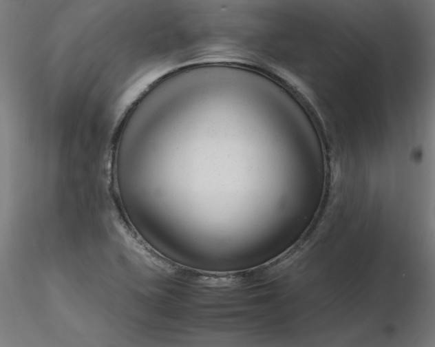 X0000116661415200912291628